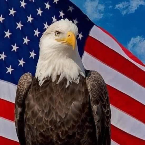 Meet your Posher, Cory - Picture 1 of 1